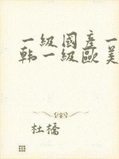 一级国产一级日韩一级欧美封面