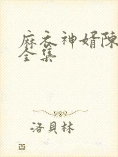 麻衣神婿陈黄皮全集封面