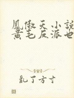 凤傲天小说里的黄毛反派也想要幸福txt下载封面