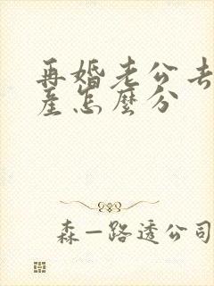 再婚老公去世遗产怎么分