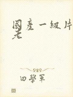 国产一级片内射老