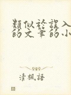 类似于误入浮华的文笔的小说