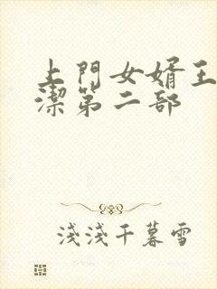 上门女婿王浩李洁第二部