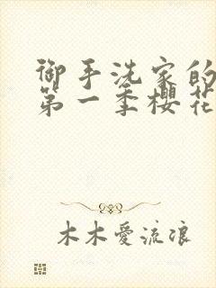 御手洗家的破洞第一季樱花动漫