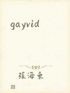 gayvid