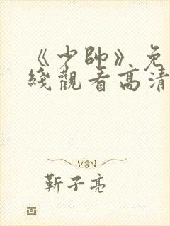 《少帅》免费在线观看高清完整版封面