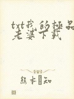 txt我的极品老婆下载封面