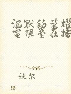 沉默的荣耀哪些电视台在播放