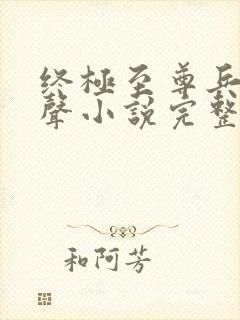 终极至尊兵王有声小说完整