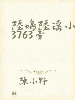 陆鸣陆瑶小说第3763章封面