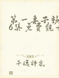 第一妻子动漫第6集免费观看全集封面