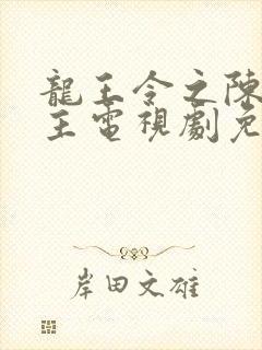 龙王令之陈平殿主电视剧免费观看