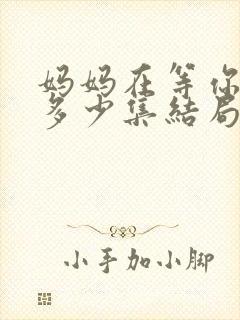 妈妈在等你一共多少集结局