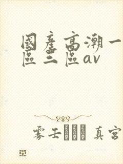 国产高潮一区二区三区av