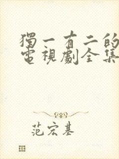 独一有二的她 电视剧全集免费