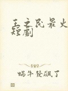 王之民最火十部短剧