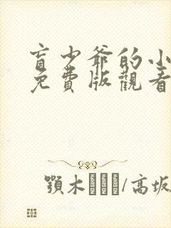 盲少爷的小女仆免费版观看封面