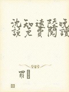 沈知远陆晚晴小说免费阅读封面