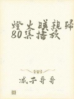 灯火映亲归短剧80集播放封面