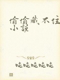 偷偷藏不住番外小说