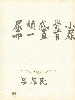 尿频感觉小腹下面一直有尿意男性吃什么药