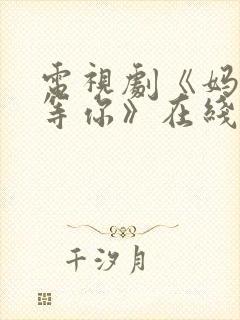 电视剧《妈妈在等你》在线观看