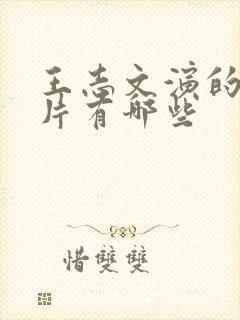 王志文演的谍战片有哪些