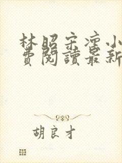 林昭宋凛小说免费阅读最新章节更新