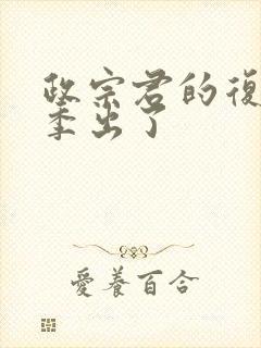 政宗君的复仇2季出了