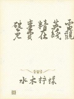 破事精英电视剧免费在线观看