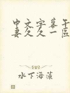 中文字幕午夜人妻久久一区