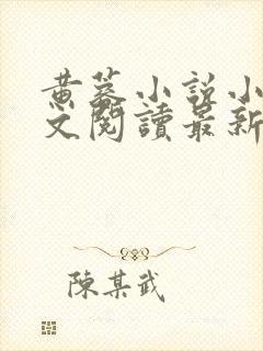 黄蓉小说小强全文阅读最新章节更新封面