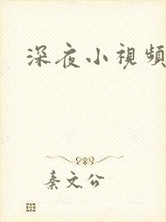 深夜小视频高清