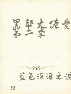 黑帮大佬爱上我第二季封面