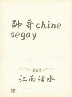 帅哥chinesegay