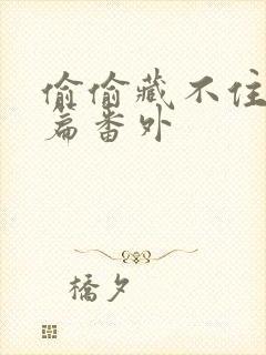 偷偷藏不住新婚篇番外封面