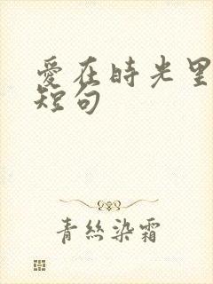 爱在时光里流转短句