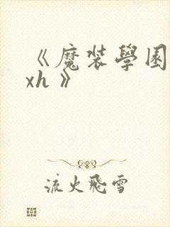 《魔装学园 hxh 》