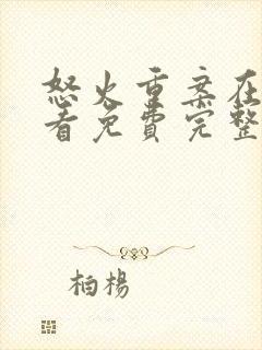 怒火重案在线观看免费完整版