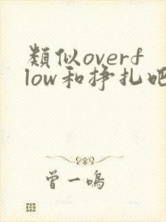 类似overflow和挣扎吧亚当君封面