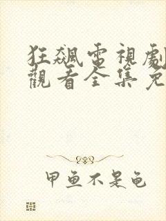 狂飙电视剧在线观看全集免费高清