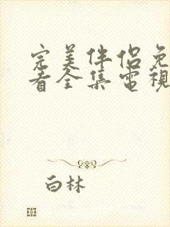 完美伴侣免费观看全集电视剧