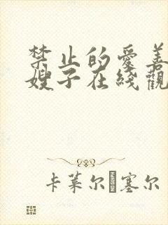 禁止的爱善良的嫂子在线观看