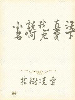 小说我真没想出名啊免费下载封面