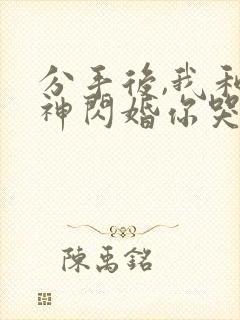 分手后,我和女神闪婚你哭什么封面