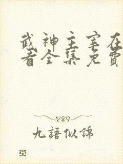 武神主宰在线观看全集免费高清播放