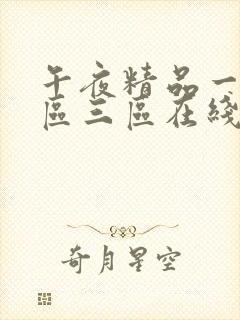 午夜精品一区二区三区在线观看视频