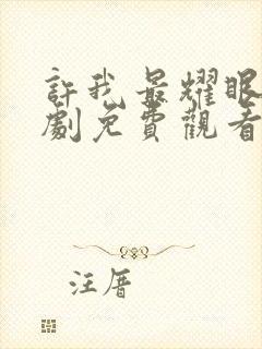 许我最耀眼电视剧免费观看高清