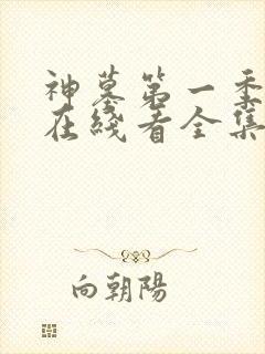 神墓第一季高清在线看全集