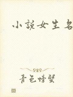 小说女生名字